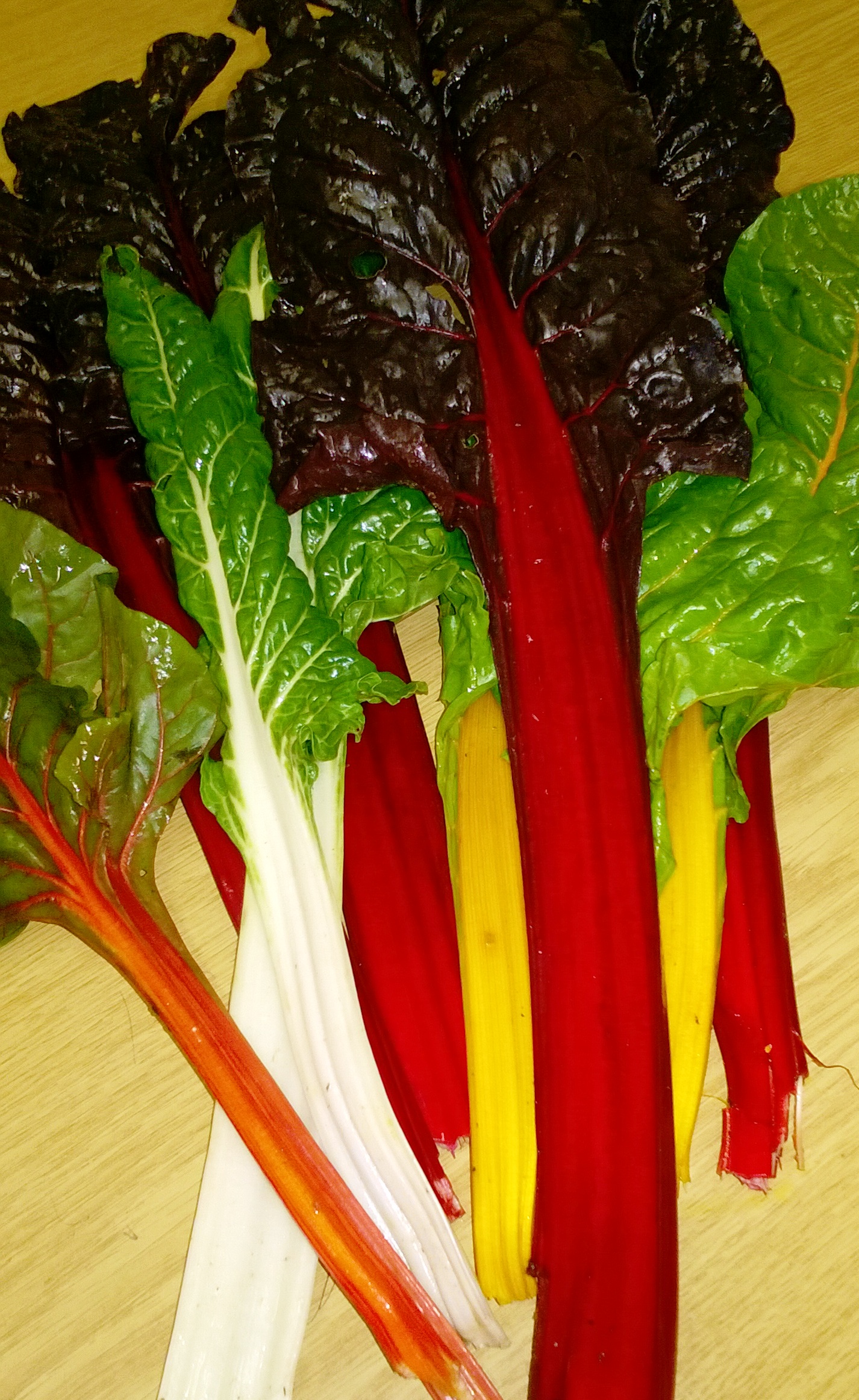 Rainbow Chard - Mammoth Onion